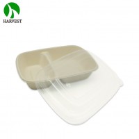 Biodegradable 32oz container food boxes takeaway packaging with lid