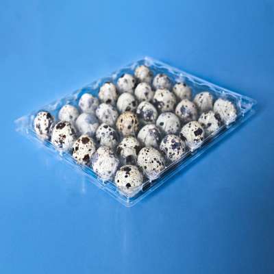 Eco Friendly Custom Quail Egg Tray Carton