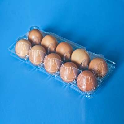 10 cells Clear Plastic Egg Packaging Tray for Chicken egg