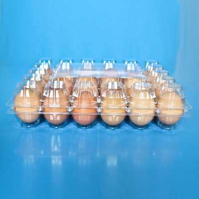 Recyclable Blister Plastic Quail Egg Tray Manufacturing