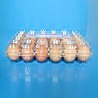 Recyclable Blister Plastic Quail Egg Tray Manufacturing