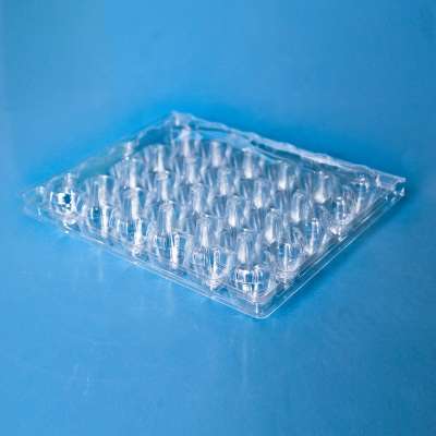 Hot Selling Transparent Quail Egg Cartons Tray Plastic