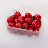 China Suppliers Plastic Food Tray, Vacuum Formed Plastic Fruit Tray Container